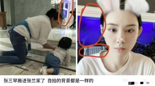 小日子直播爆料视频,爆料视频背后的惊人真相